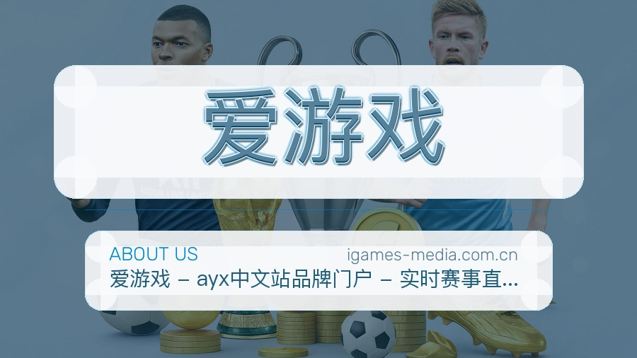 爱游戏综合体育服务